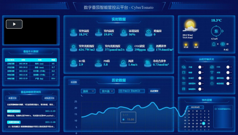 算法控環境、識蟲害、控長勢 科技番茄既高產又好吃
