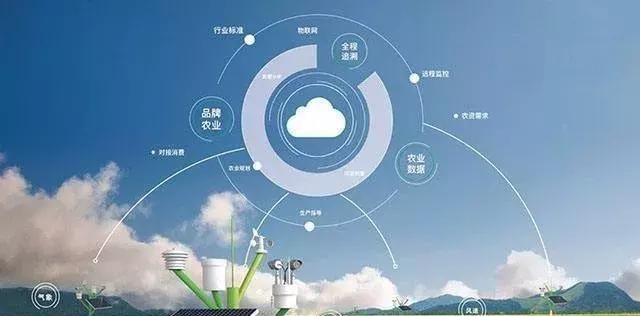 農(nóng)業(yè)+AI:理想豐滿、現(xiàn)實(shí)骨感